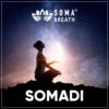 SOMADI - Annual Subscription Trial